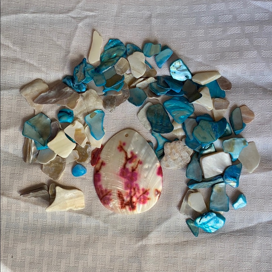 Shells